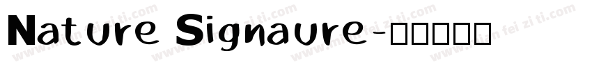 Nature Signaure字体转换